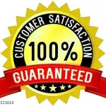 Bhagalpuri Embroidered Net Saree