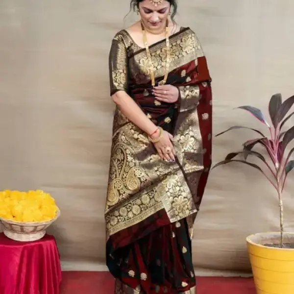 Banita Fashionable Sarees
