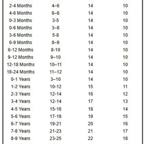 Pretty Trendy Boys Shirts